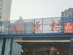 -桃源村铁锅炖鱼(体育馆道店)