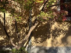 -颐和路民国时期公馆风貌区