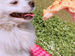 -灞河西岸滨河公园