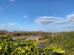 -怡得观滇餐厅·地道昆明菜·1996(海埂大坝店)
