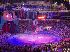 -俄罗斯国家大马戏团