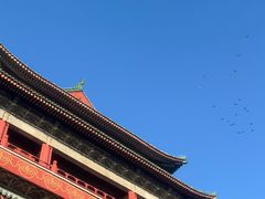 -姚记炒肝店(鼓楼店)