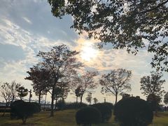 -汤山公园