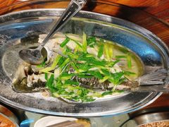 -农汤老店(顺联公园里店)