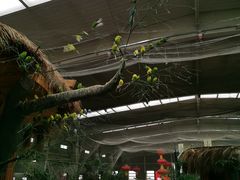 -南宫五洲植物乐园