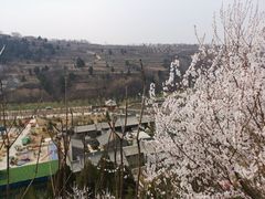 -渭南桃花源民俗文化园