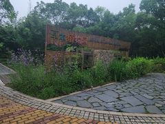-同里国家湿地公园