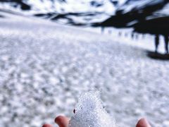 -新疆那拉提国家旅游度假区