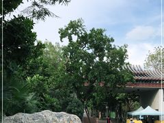 -顺峰山公园
