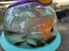 -静之湖度假区
