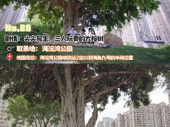 -海沧湾公园