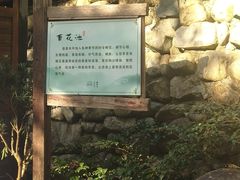 -宁海森林温泉