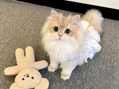 -兰湘子·湘菜小炒(石家庄万象城店)