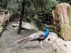 -哈尔滨北方森林动物园
