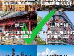 -真老大房鲜肉月饼(南京路步行街店)