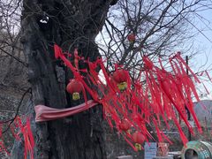-水峪民俗村