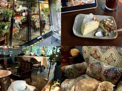 -咖法森林·咖啡  酒吧(天河店)