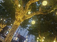 -屋有岛沉浸游戏旗舰店(中山公园店)