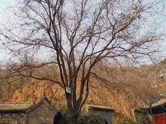 -西安曲江寒窑遗址公园