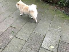 -重庆抗战遗址博物馆