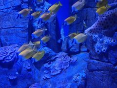 -成都浩海立方海洋公园