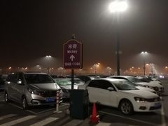 -迪士尼乐园停车场
