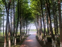 -暨阳湖生态园