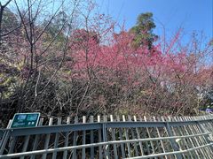 -福道