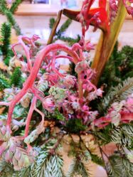 -今日陶艺(富力广场店)