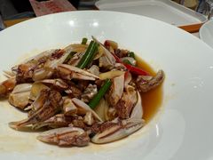 -杨氏青龙虾·羊蝎子(托乐嘉店)
