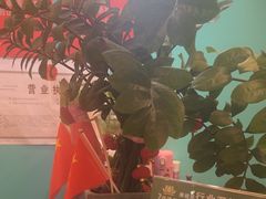 -康健民中泰式·古法按摩连锁品牌(华润万家店)