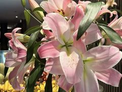 -东方棕泉·洗浴·按摩·美食国际水疗会所(福田店)