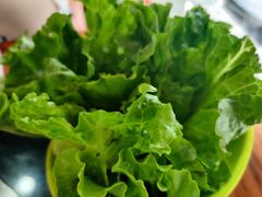 -三里屯土灶炖公鸡地锅鸡(江东店)