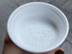 -洪馨椰子