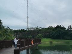 -福田红树林生态公园
