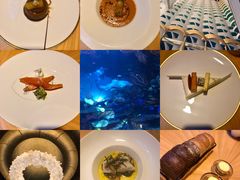 -迪拜帆船酒店海底餐厅