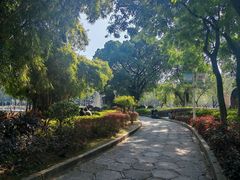 -金砂公园