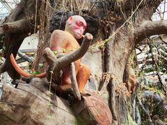 -呀路古热带植物园