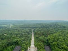 -宜兴龙背山森林公园