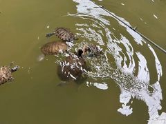 -广州长隆飞鸟乐园