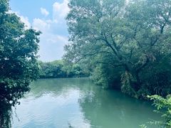 -西溪国家湿地公园