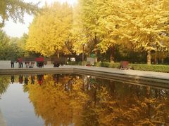 -玲珑塔公园