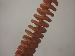 -茹哥炸串(水产前街店)