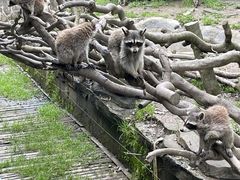 -宁波野生动物园