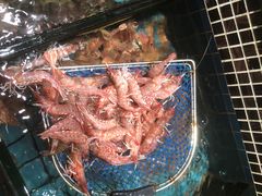 -海大大蒸汽海鲜餐厅·粤菜·特色小炒(欢乐颂店)