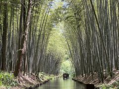 -同里国家湿地公园