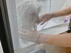 -帕帕拉兹宠物(亚洲旗舰店)