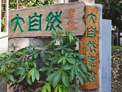 -大自然素食(望桐路店)