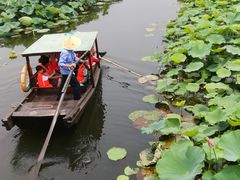 -荷塘月色湿地公园·向阳花洲