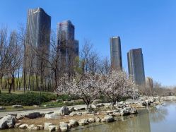 -大望京儿童游乐场